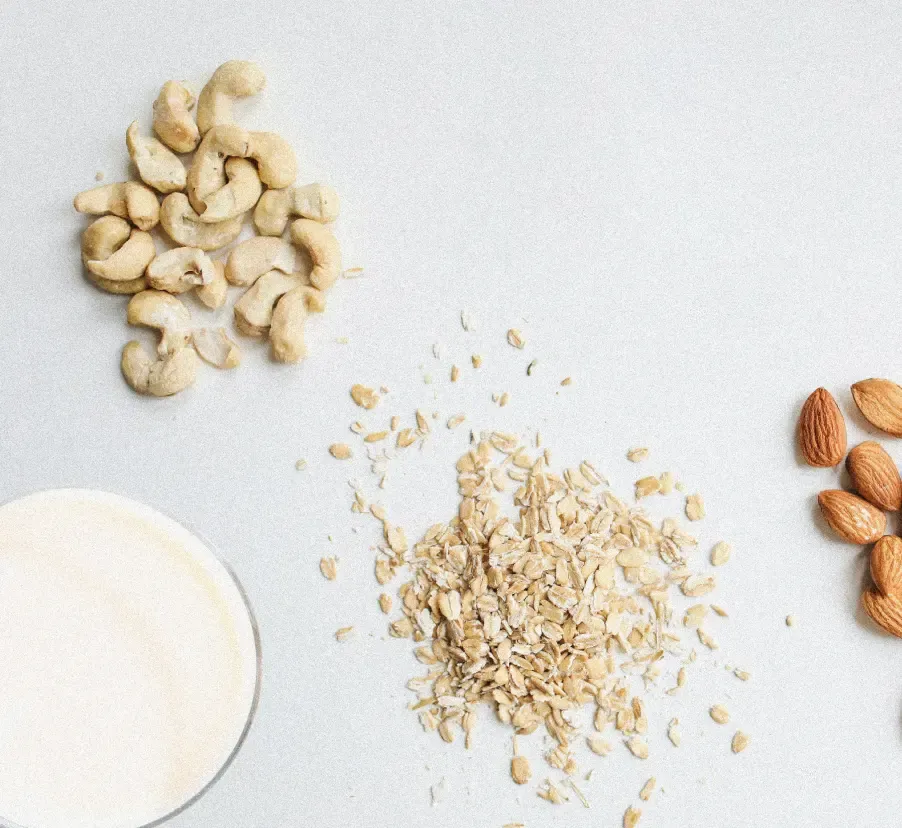 Plant-Based Food & Beverages